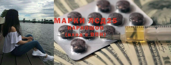 PSILOCYBIN Аркадак