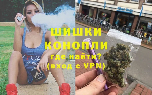 дмт Арсеньев