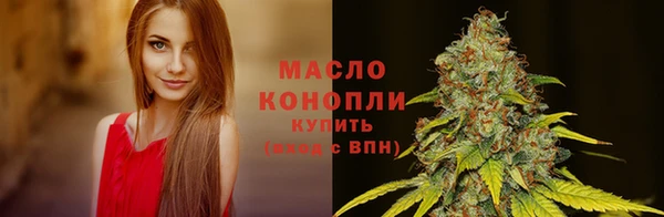 PSILOCYBIN Аркадак