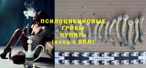 дмт Арсеньев