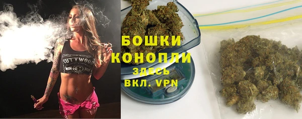 дмт Арсеньев