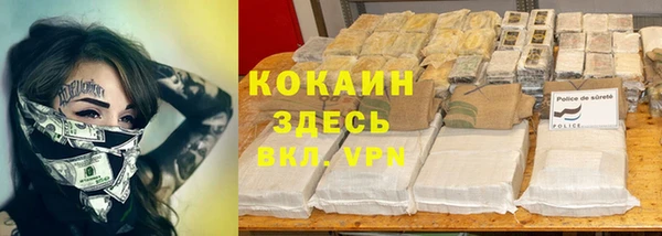 дживик Костерёво