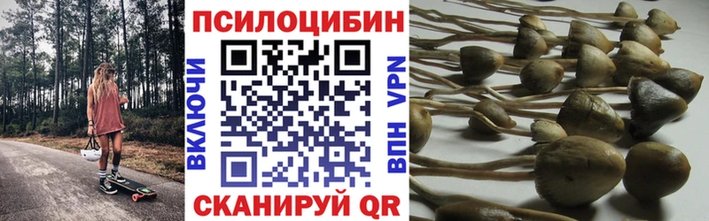 Псилоцибиновые грибы Magic Shrooms  Рошаль 